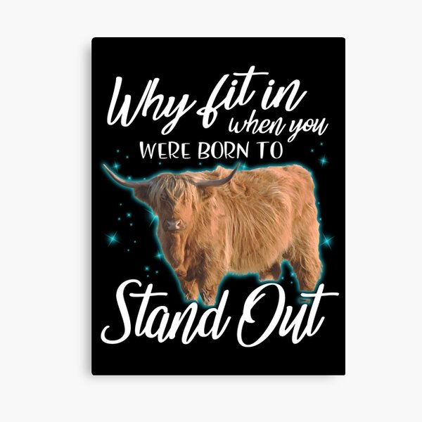 Item preview, why fit in when you were born to stand out Highland cattle shirt for men, women and kid designed and sold by Titmit.