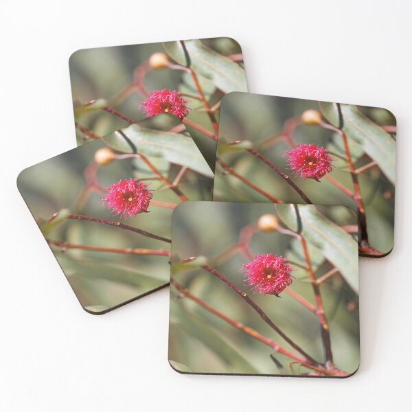 Item preview, Pink And Winter Eucalyptus Flower  designed and sold by Joy Watson - Natural Light Photography .