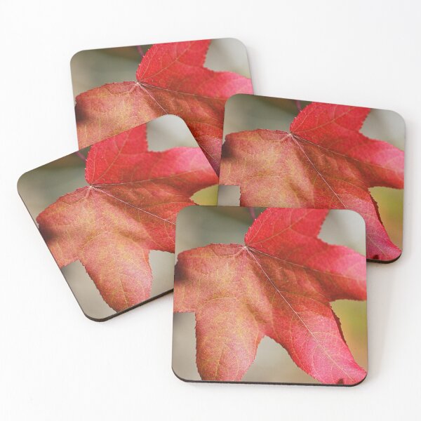 Item preview, Beautiful Liquidambar Leaf  designed and sold by Joy Watson - Natural Light Photography .