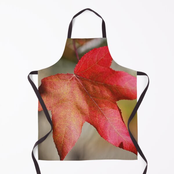 Item preview, Beautiful Liquidambar Leaf  designed and sold by Joy Watson - Natural Light Photography .