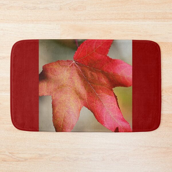 Item preview, Beautiful Liquidambar Leaf  designed and sold by Joy Watson - Natural Light Photography .