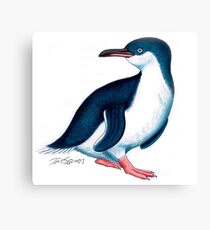 Little Penguin Canvas Print