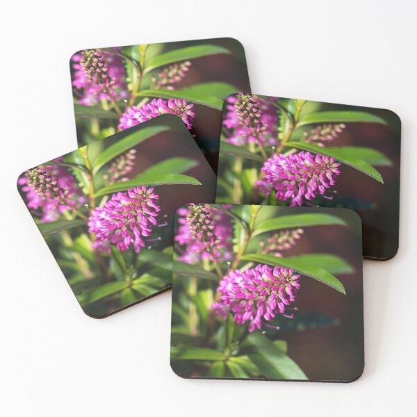 Item preview, Hebe Marie Antoinette Blooms designed and sold by Joy Watson - Natural Light Photography .