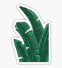 Banana Leaves on Cream Sticker