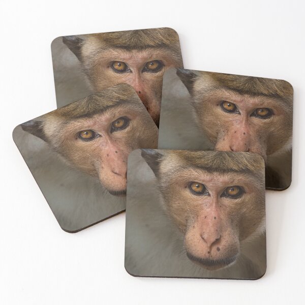 Item preview, Daring look of a Monkey  designed and sold by Soban Raj.