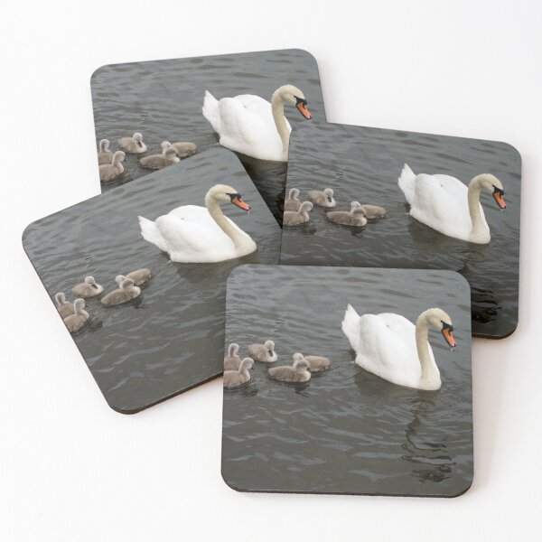 Item preview, Swan and cygnets designed and sold by photoslot.