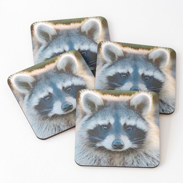 Item preview, An Adorable Raccoon designed and sold by Karen Thomson.