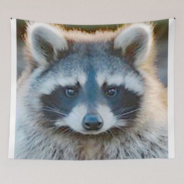 Item preview, An Adorable Raccoon designed and sold by Karen Thomson.