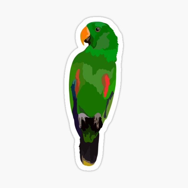Aperçu de l'œuvre E est pour le perroquet Eclectus créée et vendue par thezoogirl.
