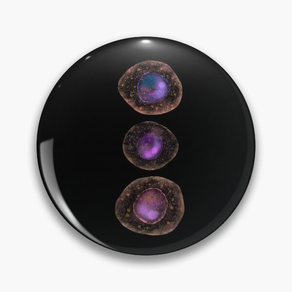 Item preview, Stem cells art designed and sold by Osher-BioArt.