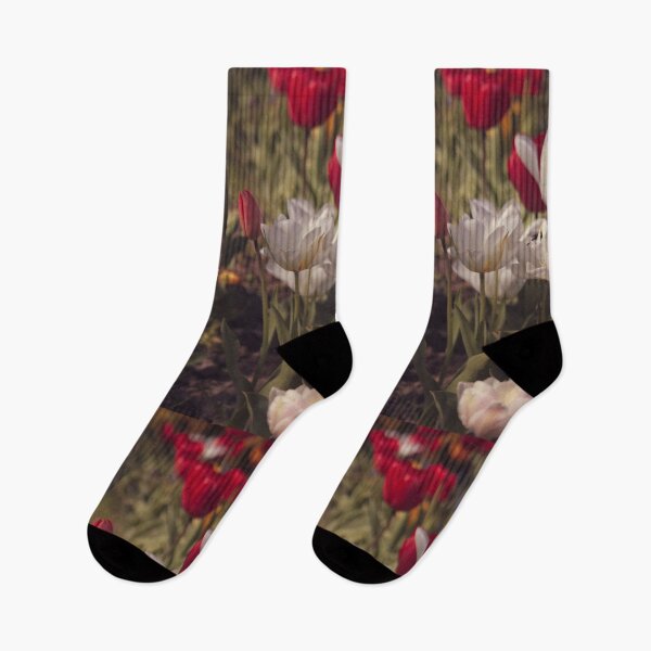 Item preview, Colourful Flowers Spring - Justyna Collection Photography designed and sold by Aniyah.