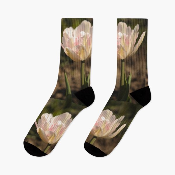 Item preview, Colourful Flowers Spring 2 - Justyna Collection Photography designed and sold by Aniyah.