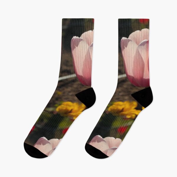 Item preview, Rose Colourful Flowers Spring - Justyna Collection Photography designed and sold by Aniyah.