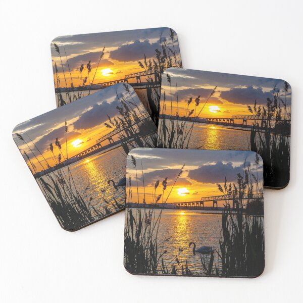 Item preview, Swans at Sunset designed and sold by ShootFirstNYC.