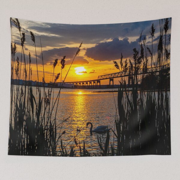 Item preview, Swans at Sunset designed and sold by ShootFirstNYC.