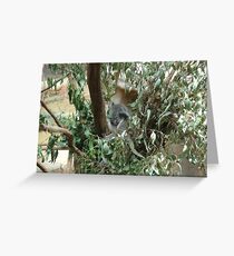 Good Night - Sleep Tight! Greeting Card