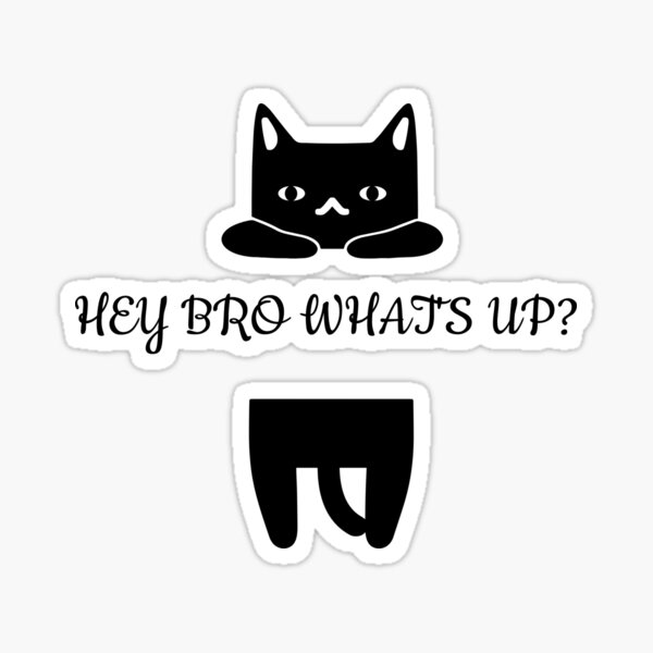 hey-bro-what-s-up-sticker-for-sale-by-khaoulach-redbubble