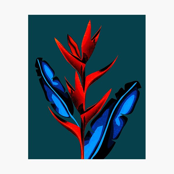 Item preview, Lobster Claw designed and sold by Graham Colton.