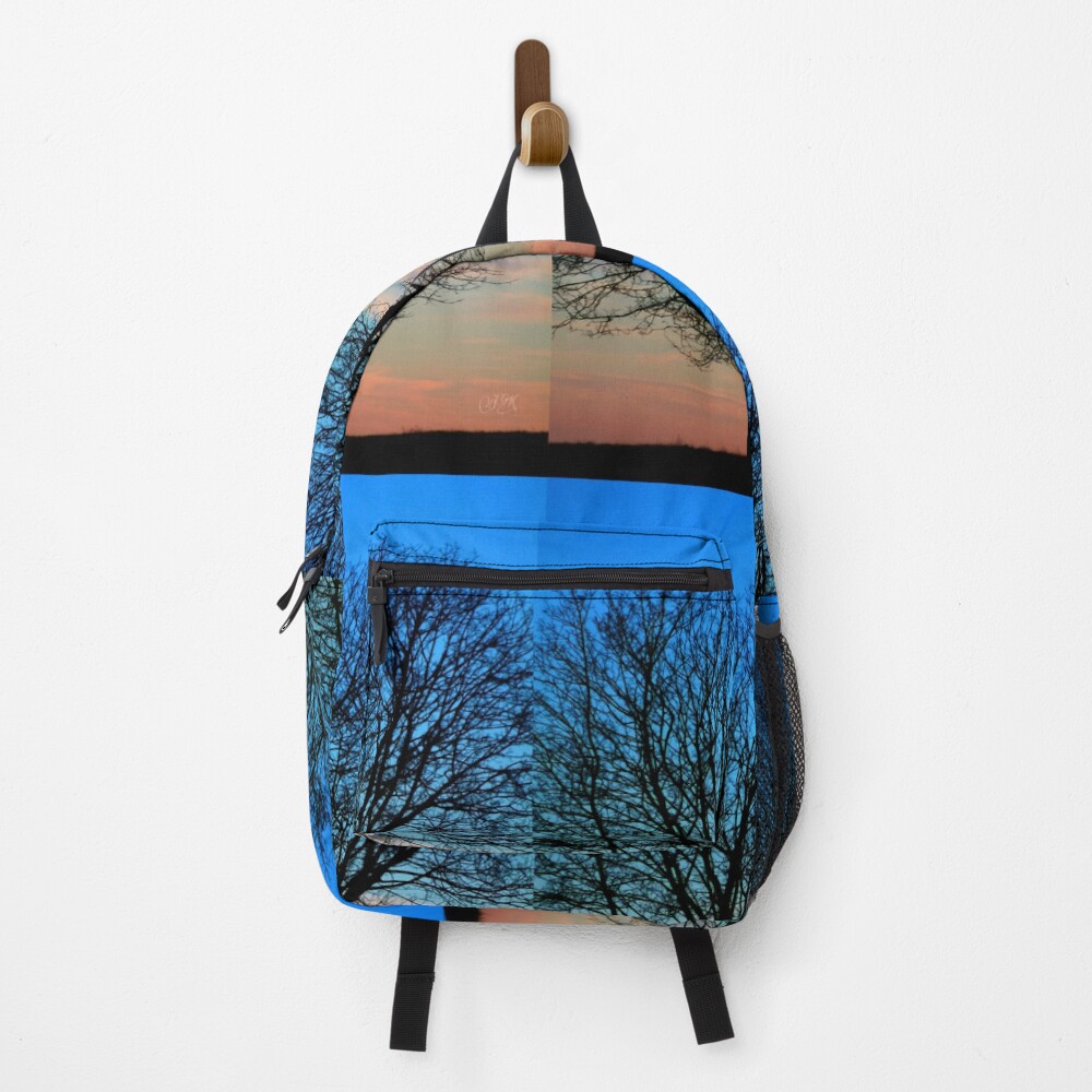 Item preview, Backpack designed and sold by Aniyah.