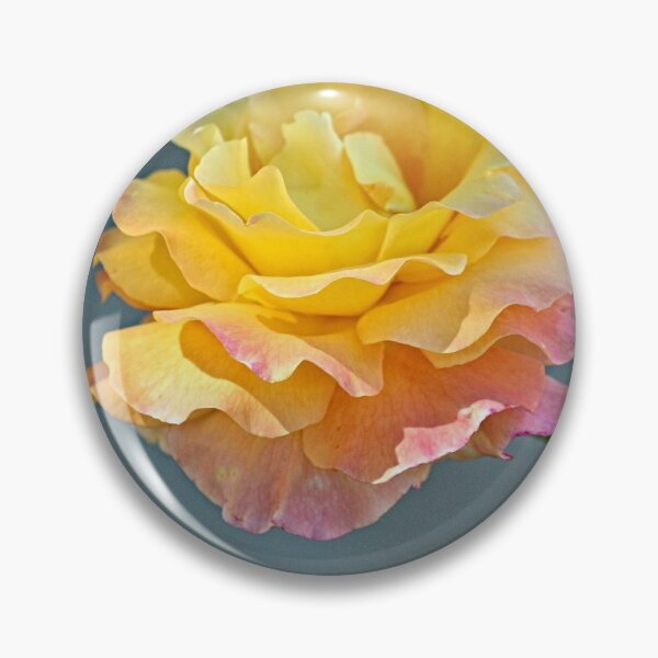 Item preview, Beautiful Pink Yellow Molted Rose Macro designed and sold by Anna Lemos.