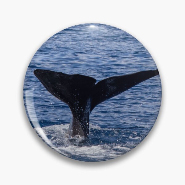 Item preview, Fluke of a Sperm whale diving into the deep Atlantic, at Azores islands. designed and sold by AylaHarbich.