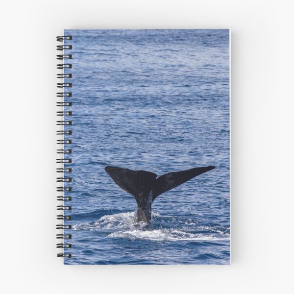 Item preview, Fluke of a Sperm whale diving into the deep Atlantic, at Azores islands. designed and sold by AylaHarbich.