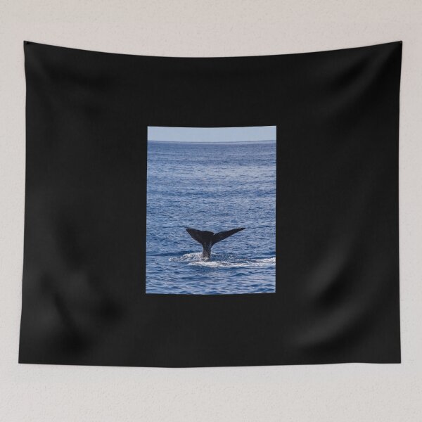 Item preview, Fluke of a Sperm whale diving into the deep Atlantic, at Azores islands. designed and sold by AylaHarbich.