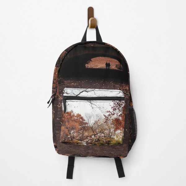 Item preview, The Great Arch, Central Park in Autumn designed and sold by LiminalTees.