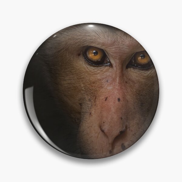Item preview, Daring look of a Monkey - Dark  designed and sold by Soban Raj.