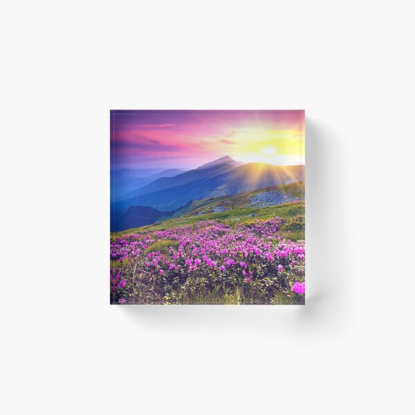 Item preview, nature beautiful the nice best nature in the word designed and sold by aliloveroyali.