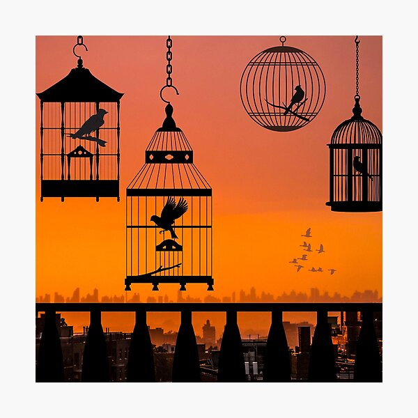 Item preview, Tranquil view of bird cages in the Sunset - Silhouette prints designed and sold by ThousandAutumns.