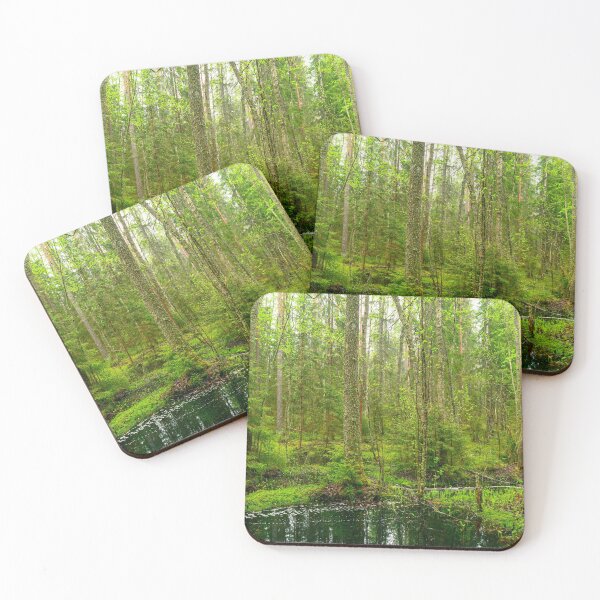 Item preview, Spring forest flooded with rainwater designed and sold by yarvin13.