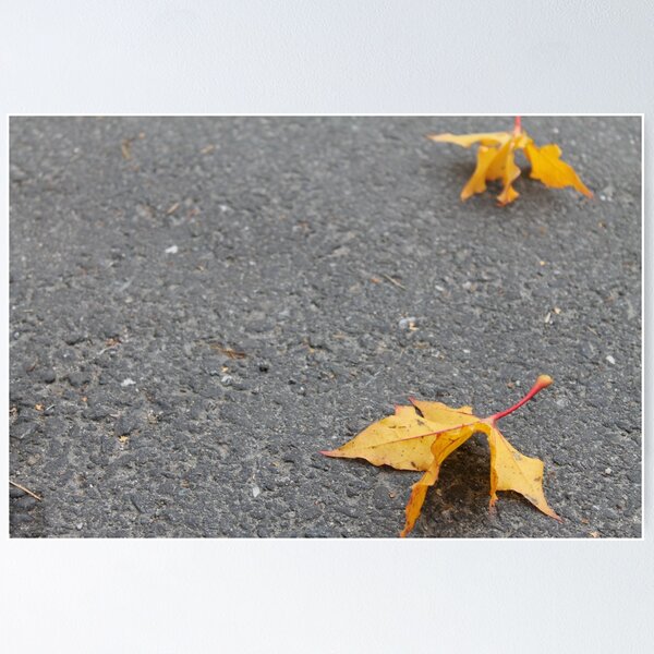 Item preview, Zen. Autumn. designed and sold by UpNorthPhoto.