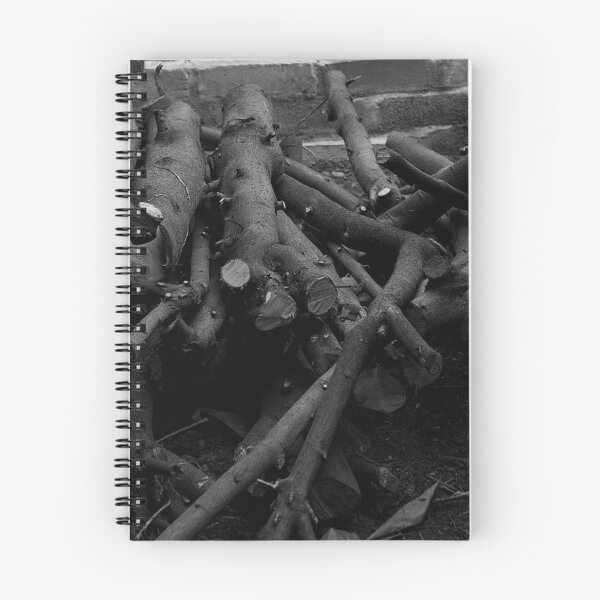 Aperçu de l'œuvre Bûches n Bois n Trucs (noir et blanc) créée et vendue par WilliamJFrance.