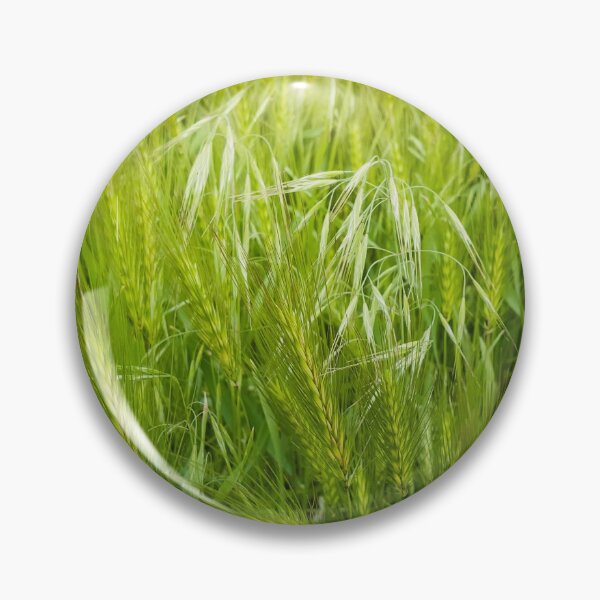 Item preview, Blooming wild foxtail plants designed and sold by psychoshadow.