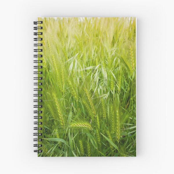Item preview, Blooming wild foxtail plants designed and sold by psychoshadow.