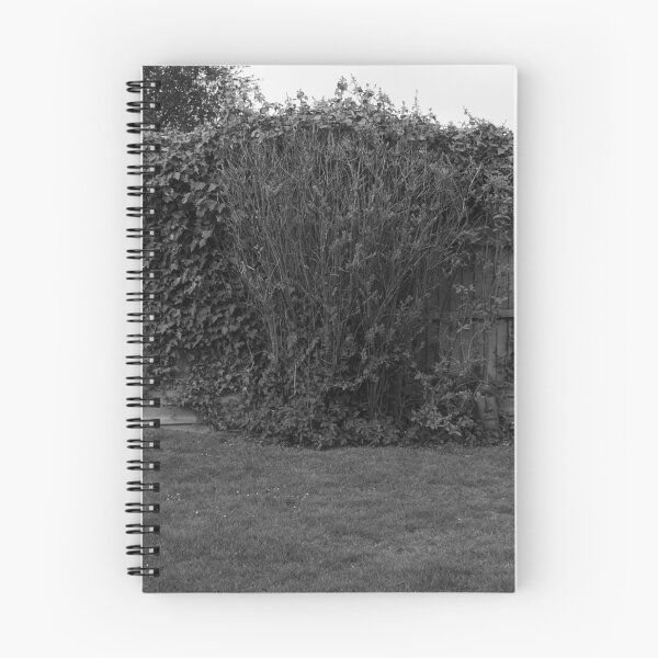 Aperçu de l'œuvre Vert, vert et vert (noir et blanc) créée et vendue par WilliamJFrance.
