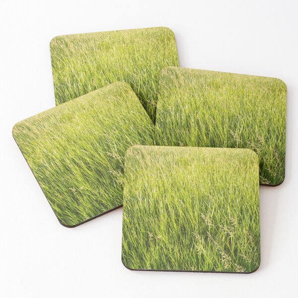 Item preview, Blooming wild bromus designed and sold by psychoshadow.