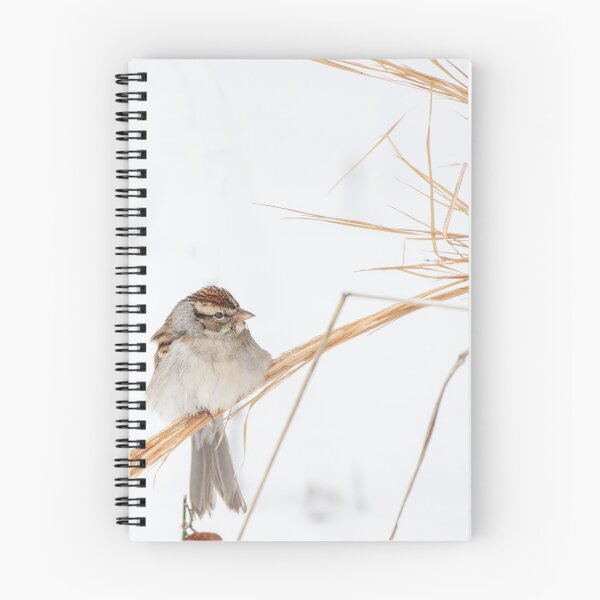 Item preview, Snowy Morning Straw Perch.  designed and sold by BowToe.