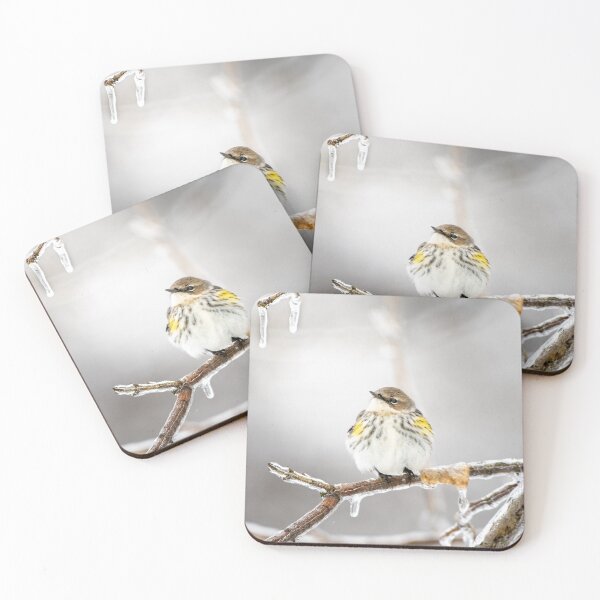 Item preview, Bird's First Snow Day designed and sold by BowToe.