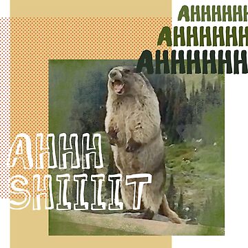 Marmot trina hotsell