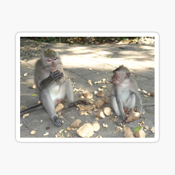 Item preview, Balinese monkeys eating designed and sold by exploramum.