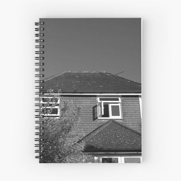 Aperçu de l'œuvre Briques, maisons et cieux (noir et blanc) créée et vendue par WilliamJFrance.