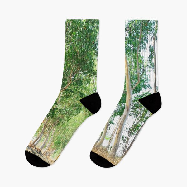 Item preview, Eucalyptus Forest  designed and sold by Erika Bartha.