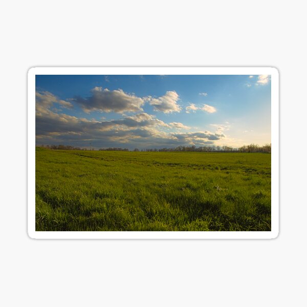 Item preview, Grassy meadow with  blue cloudy sky designed and sold by SketchWithLight.