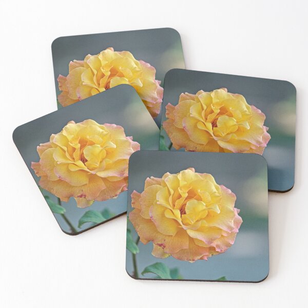 Item preview, Beautiful Curly Pink Yellow Molted Rose Macro designed and sold by Anna Lemos.
