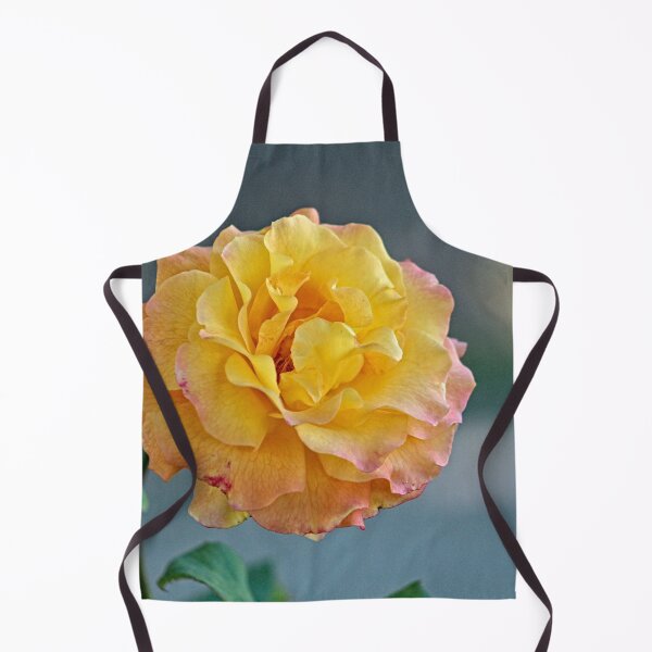 Item preview, Beautiful Curly Pink Yellow Molted Rose Macro designed and sold by Anna Lemos.