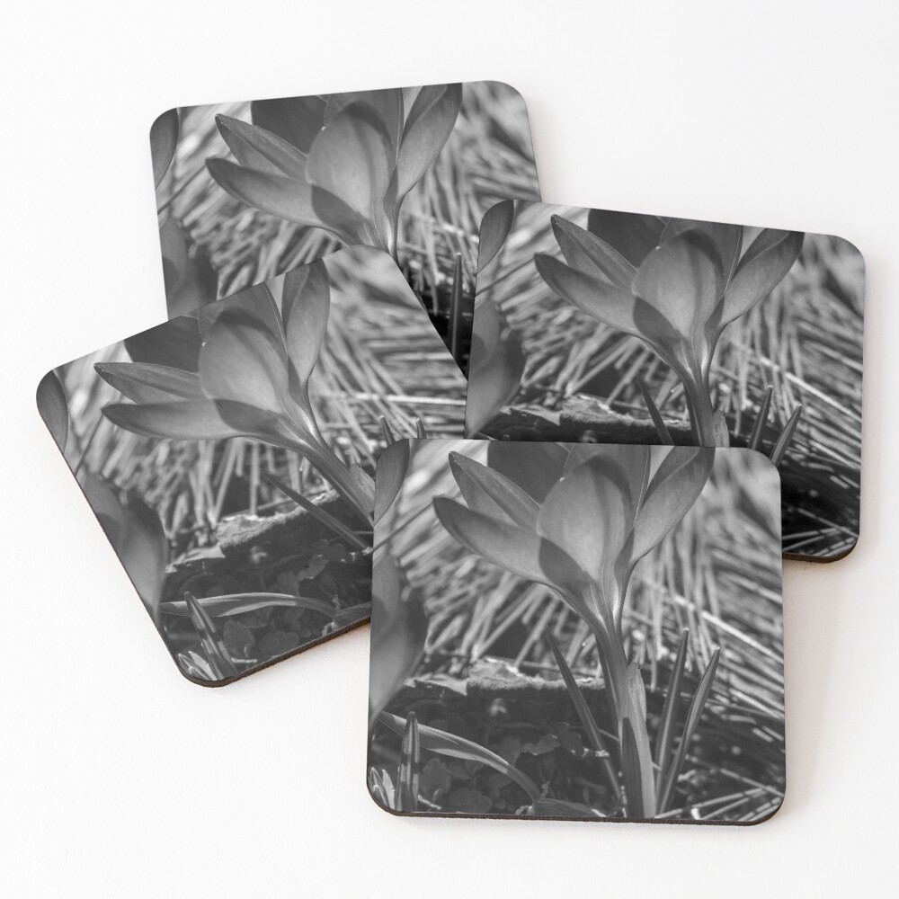 Item preview, Coasters (Set of 4) designed and sold by R-York.