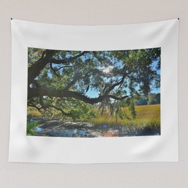 Item preview, Oak Tree Sunburst designed and sold by LisaWootenPhoto.