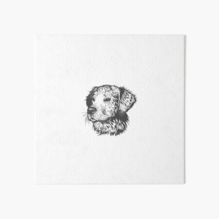 Chien Noir Wall Art Redbubble Chien Noir Wall Art Redbubble